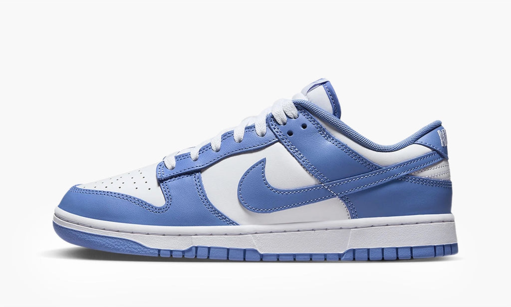Dunk Low "Polar Blue" - DV0833 400 | Arcastore