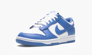 Dunk Low "Polar Blue" - DV0833 400 | Arcastore