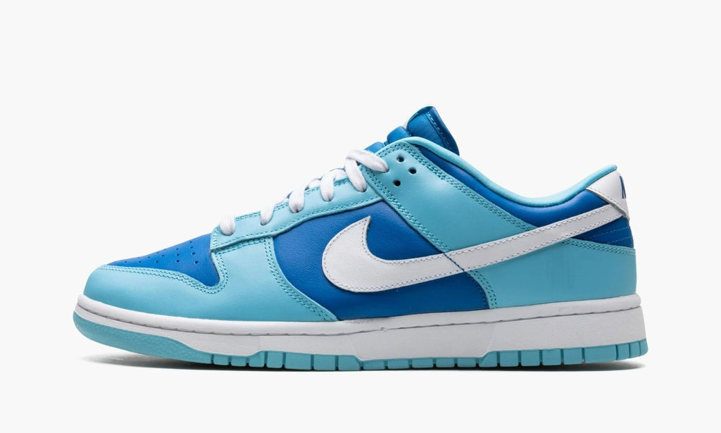 Dunk Low Retro QS "Argon 2022" - DM0121 400 | Arcastore
